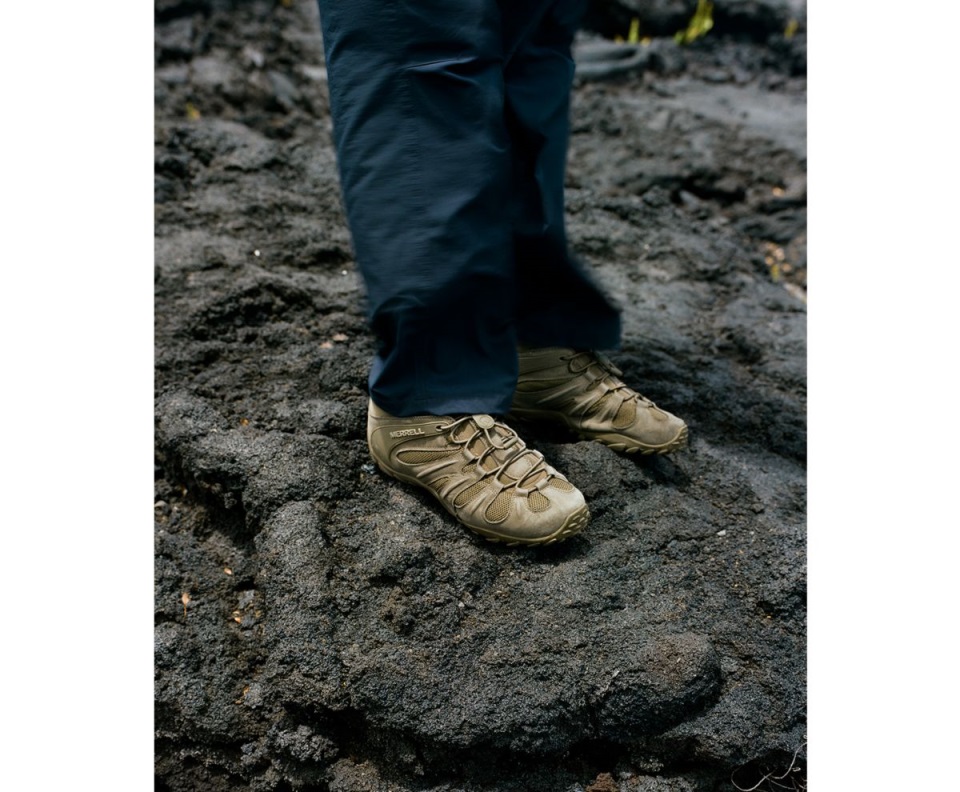 تشام 8 للرجال تكتيكي ميريل زيتوني غامق