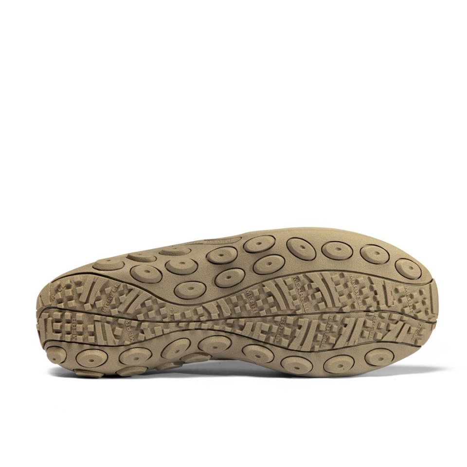 ذئب Merrell Merrell المستكشف Moc في الغابة