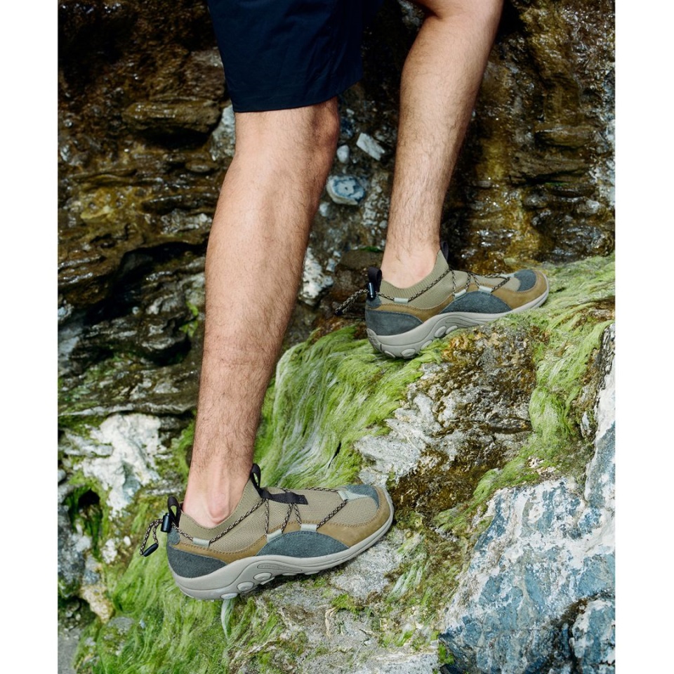 ذئب Merrell Merrell المستكشف Moc في الغابة