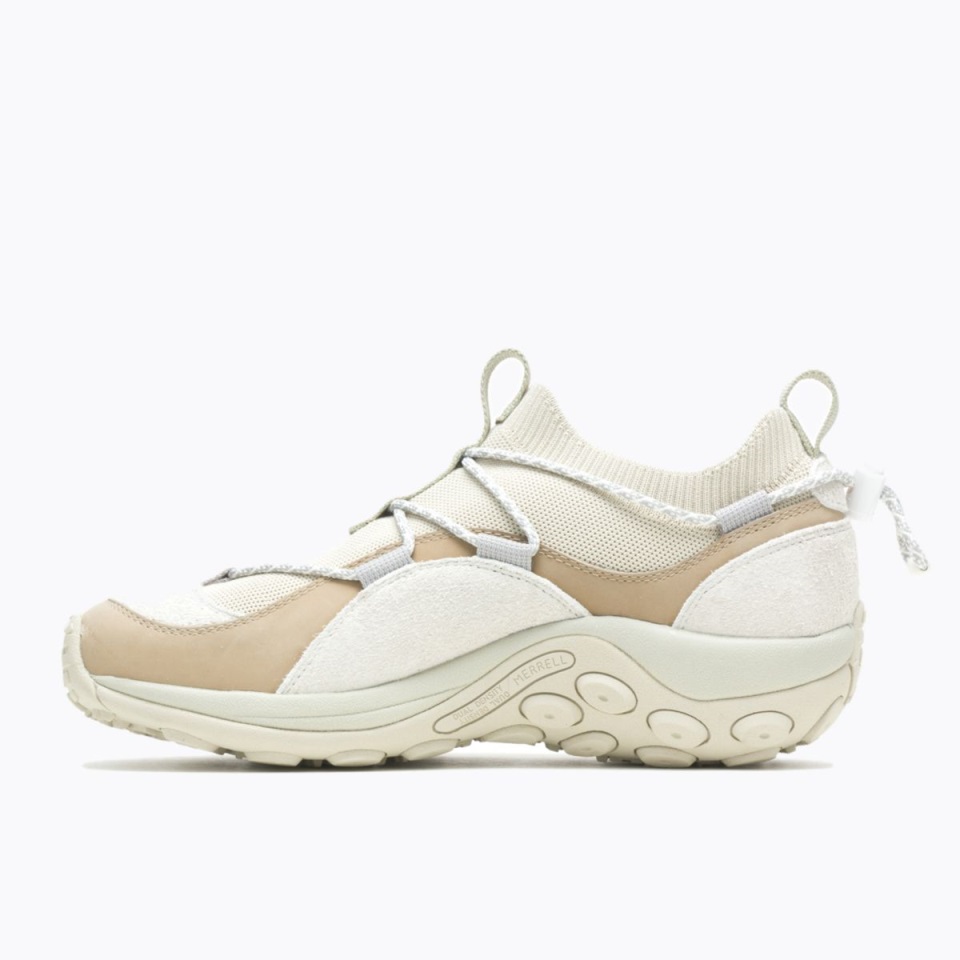 إكسبلورر الغابة الرجالية أويستر ميريل