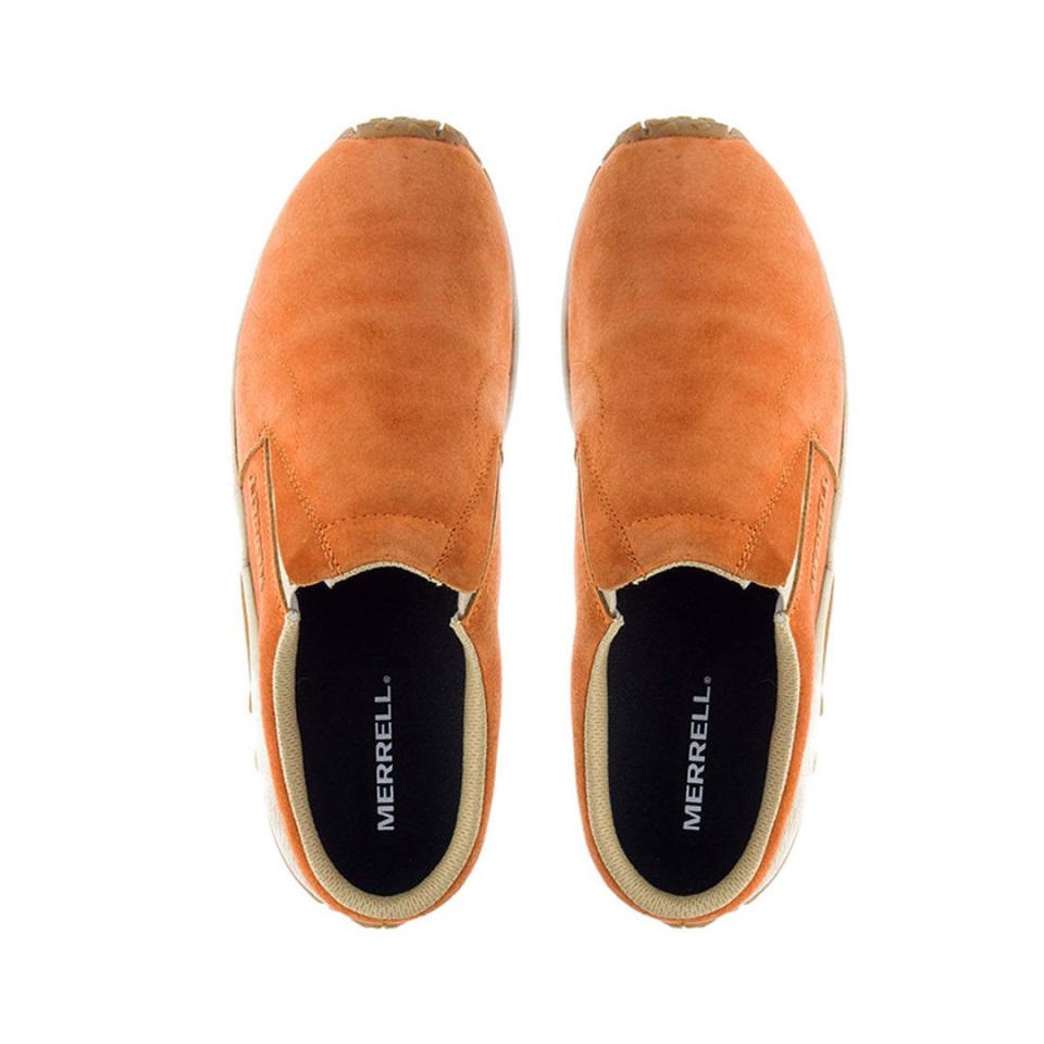 زحليقة الغابة الرجالية ميريل النحاس