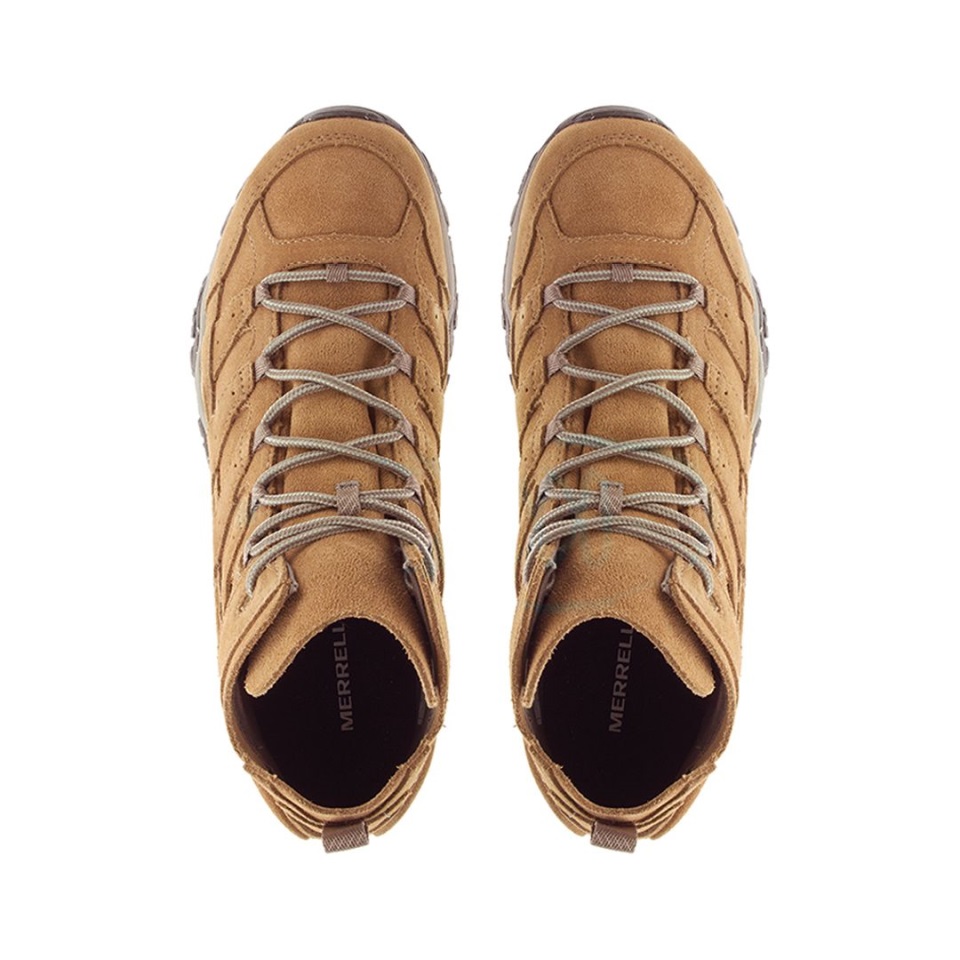 جمل موآب 2 ديكون ميريل