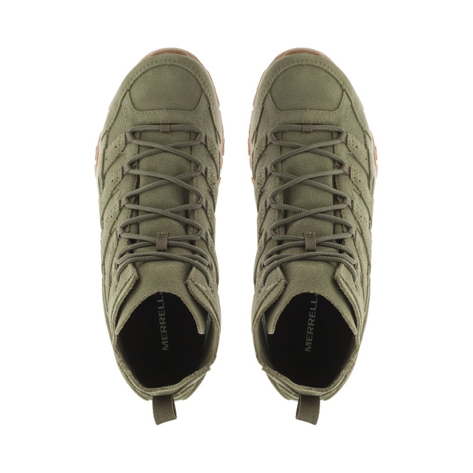 موآب للرجال 2 ديكون وسط الزيتون ميريل