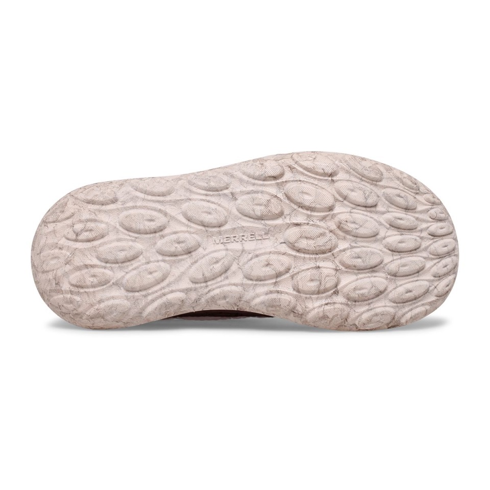 كوخ ميريل بيج كيد 2.0 إيريس