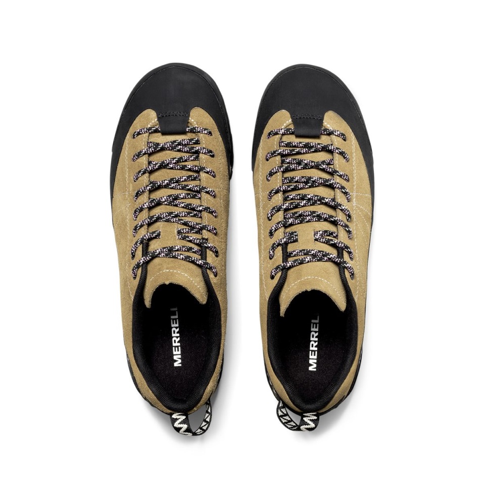 جمل ميريل محفز برو