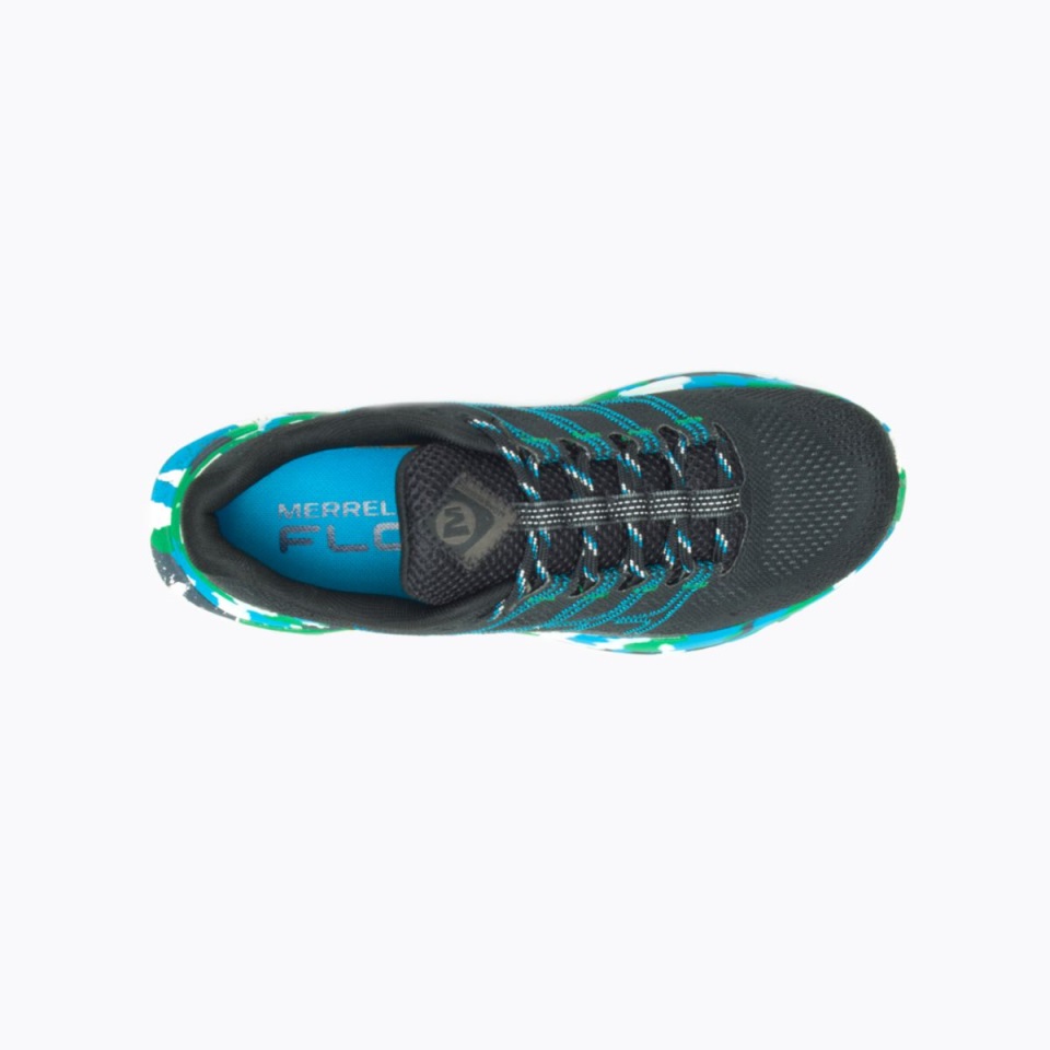 ميريل الأرض يوم المرأة السوداء رحلة موآب