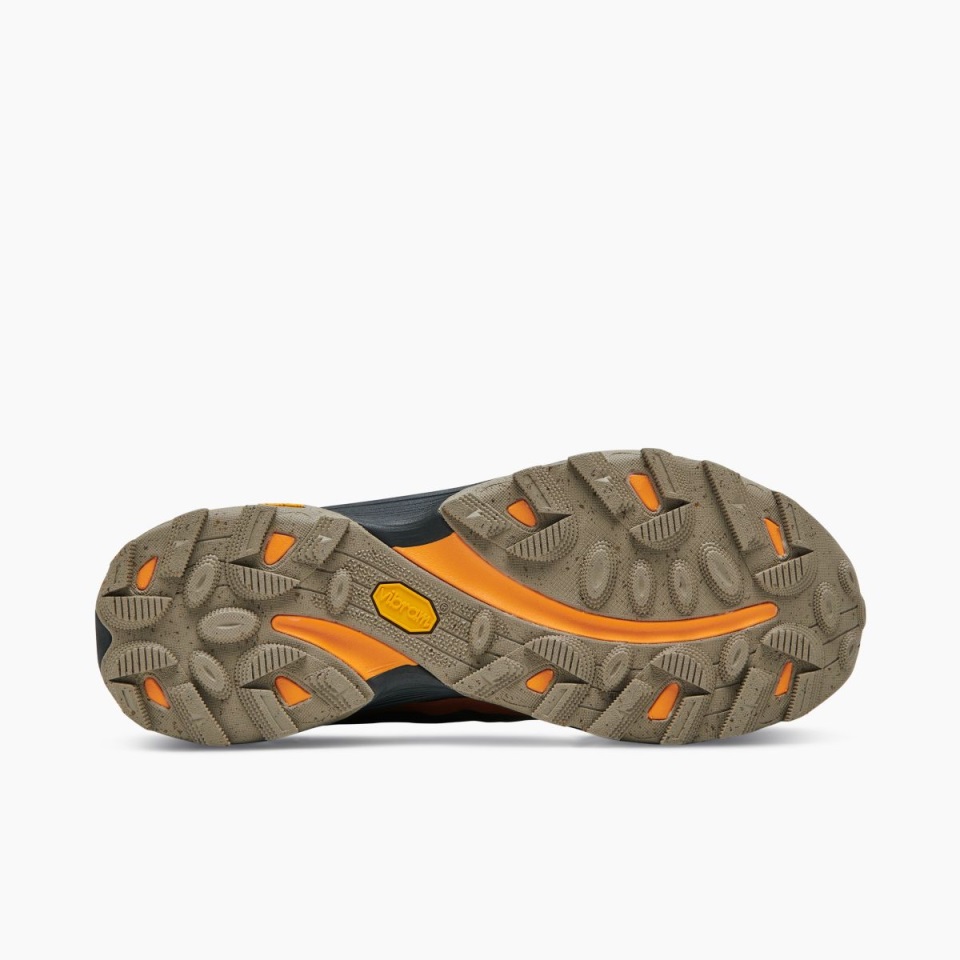 Merrell Lichen Men Moab Speed Gore-tex