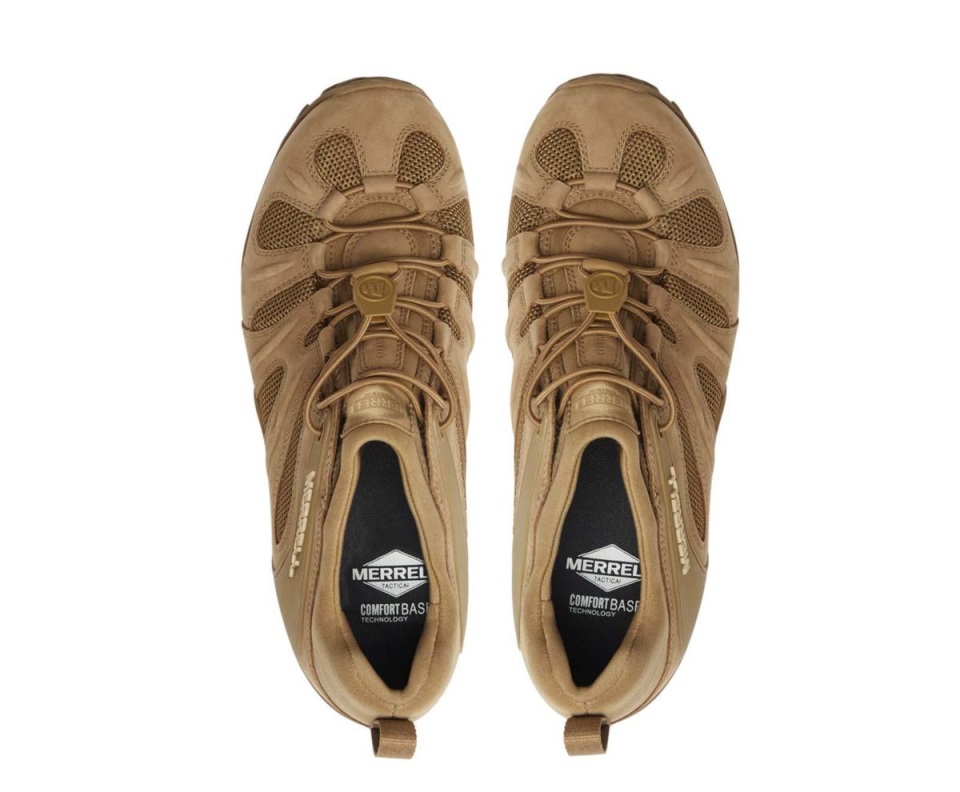 ذئب ميريل تكتيكي تشام 8 سترتش للرجال من ميريل