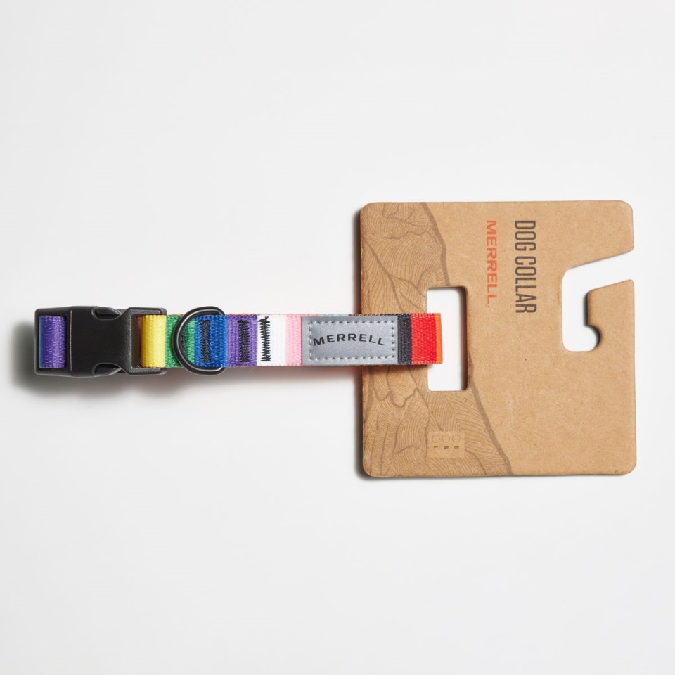 ميريل قوس قزح فخر الكلب طوق