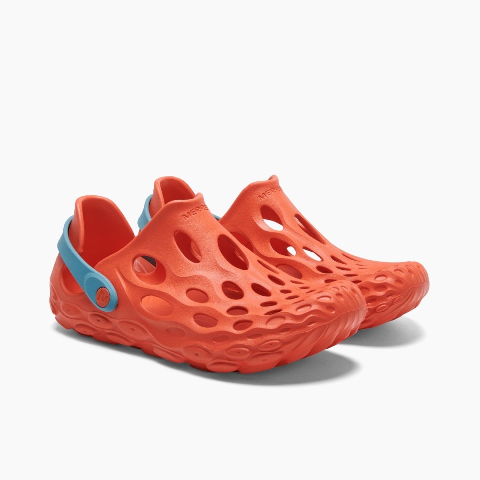 ميريل اليوسفي الأزرق النسائي Hydro Moc