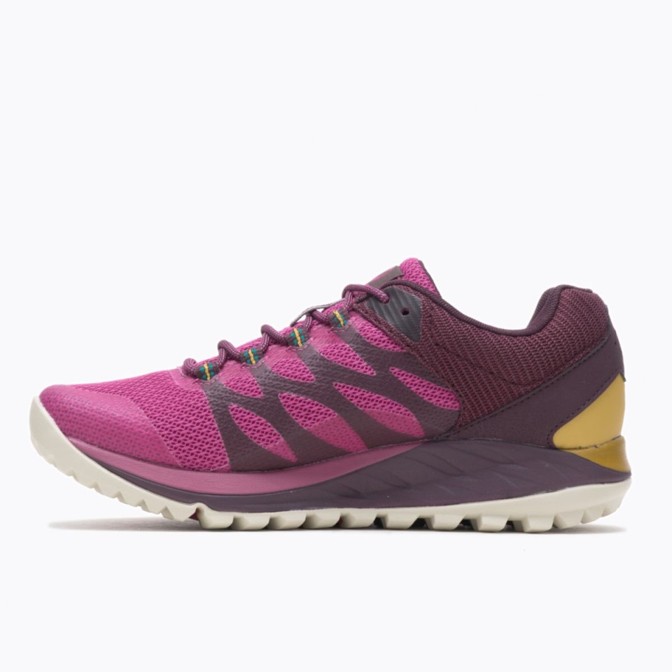 أنتورا النسائي 2 Gore-tex Fuschia Merrell